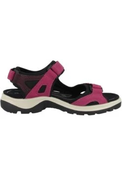 ECCO Outdoorsandalen - Sangria-Fig (069563-51760) 11 ECCO Outdoorsandalen - Sangria-Fig (069563-51760) -ECCO Verkoopwinkel 50b40fc168864c98a1a74306b5d2b641