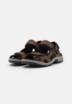 ECCO Offroad - Outdoorsandalen - Espresso/Cocoa Brown/Black -ECCO Verkoopwinkel c4d7ece0fef943a2b7511940e83857bd