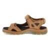 ECCO Yucatan Plus - Outdoorsandalen - Brown 1 ECCO Yucatan Plus - Outdoorsandalen - Brown -ECCO Verkoopwinkel ee91a543d6e346d6a69a94df6e8c9bc4